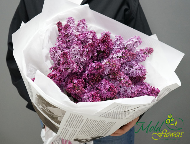 Bouquet of lilacs 2 photo